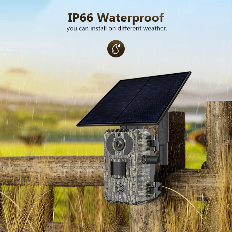Hunting Outdoor Game - 4G 4MP açık yaban hayatı avcılık